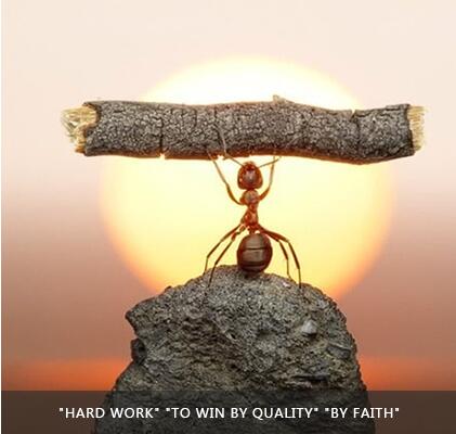 豪利777(中国)英超切尔西官方相助同伴